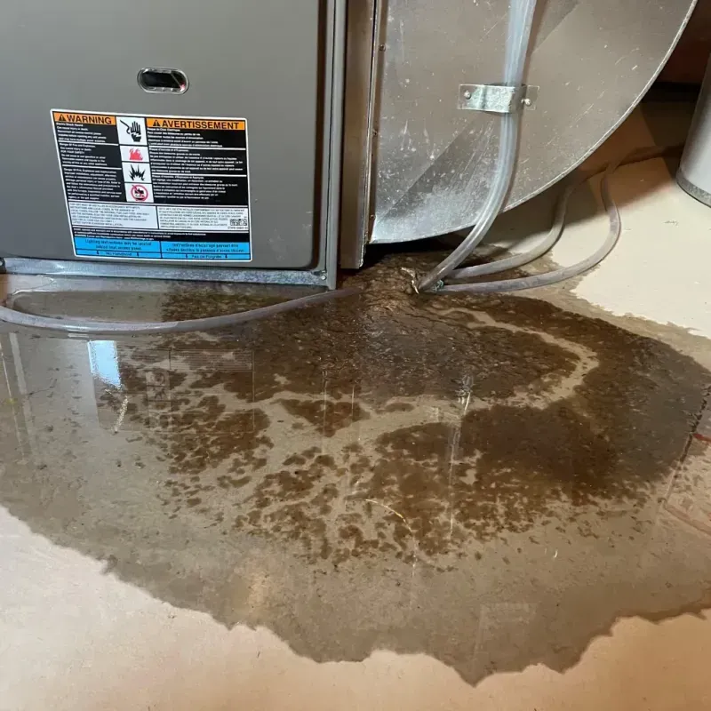 Appliance Leak Cleanup in Newington, CT